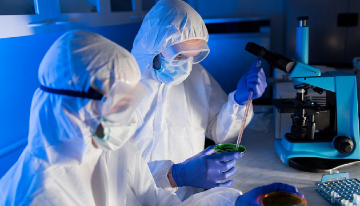 В США распространяется вирус "кроличья Эбола", появившийся 35 лет назад в Китае 