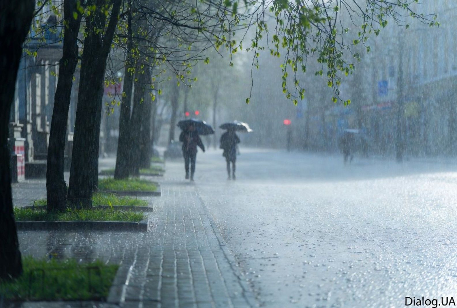 Четыре области Украины накроют ливни и грозы в ближайшие часы