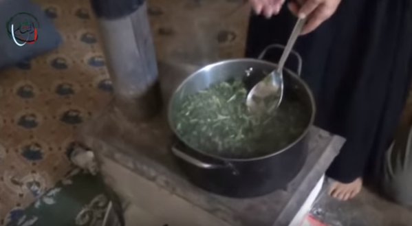 Асад и Путин применяют метод "блокадного Ленинграда" в Сирии: мирные сирийцы едят траву, чтобы не умереть с голоду