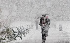 Первый уровень опасности: жителей Украины ждет дикий ветер до 20 м/с, метели и масса снега - прогноз погоды