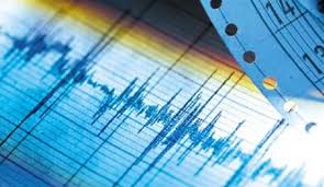 В Иране произошло землетрясение магнитудой 5 баллов
