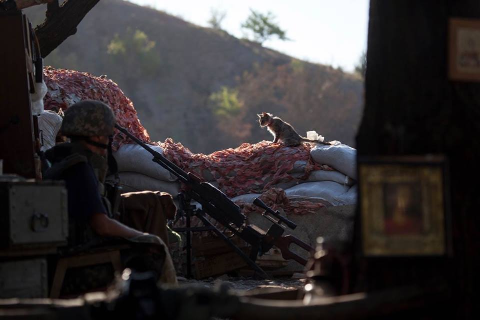 "Утро началось с обстрелов", - в Сети опубликовали трогательное фото с передовой