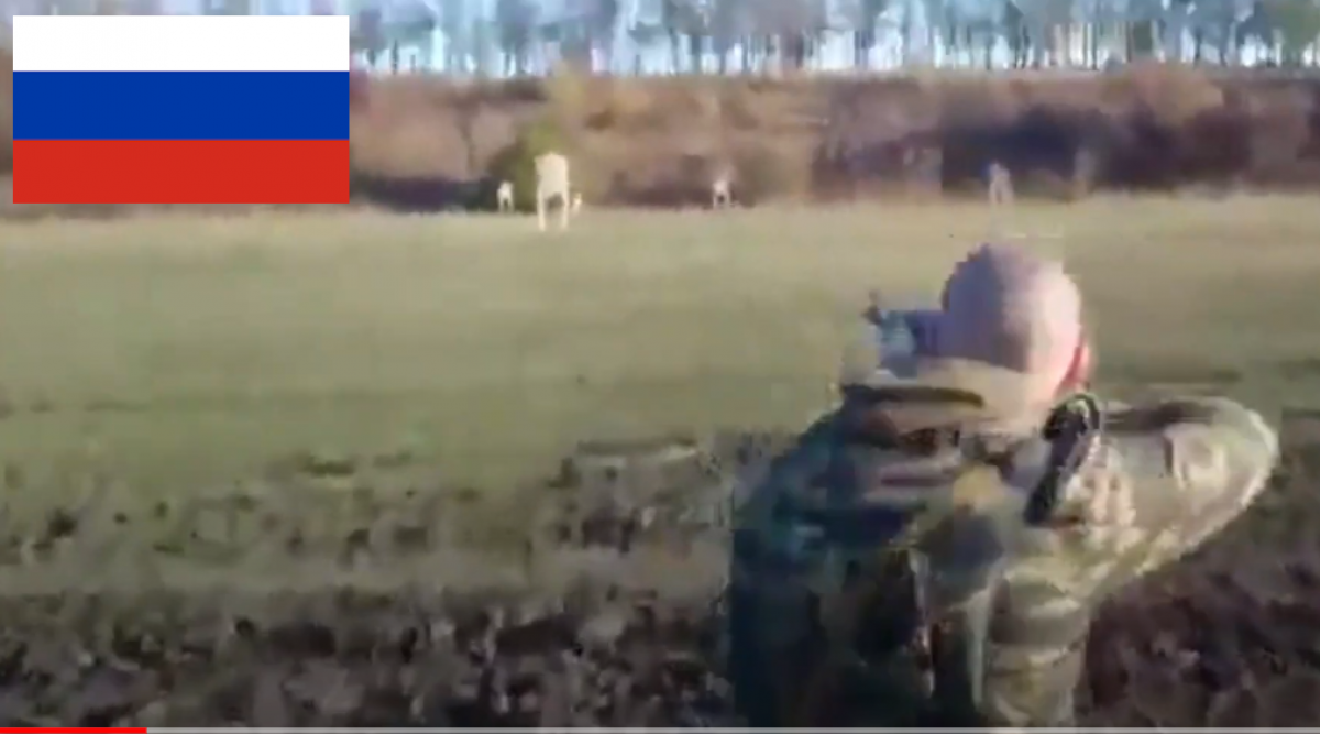 Появилось курьезное видео, как инструктор тренирует российских солдат