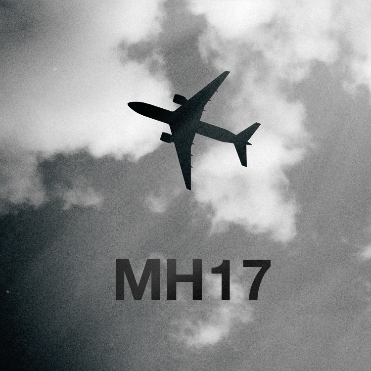 Порошенко: расследование катастрофы MH17 будет осуществляться в рамках национальной юрисдикции Нидерландов