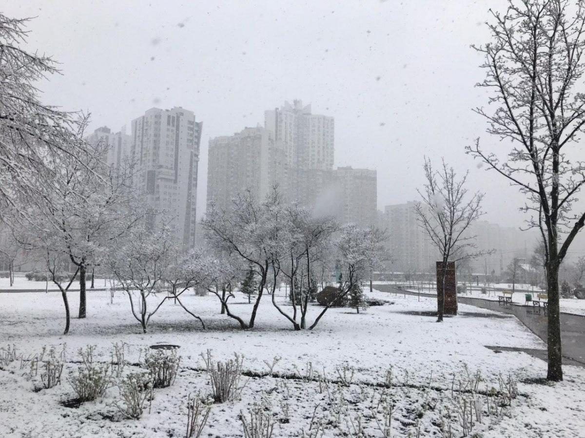 На Киевщину надвигается лютый снегопад: синоптики выступили с предупреждением 