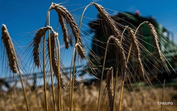 "В отместку за помидоры" – Турция лишила Россию права на беспошлинные поставки зерна 