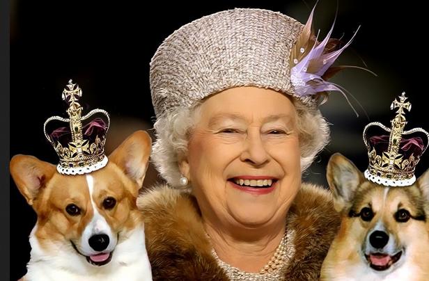 "Го**о собачек королевы Елизаветы II стоит дороже слов Захарченко", - британцы эмоционально отреагировали на угрозы террориста