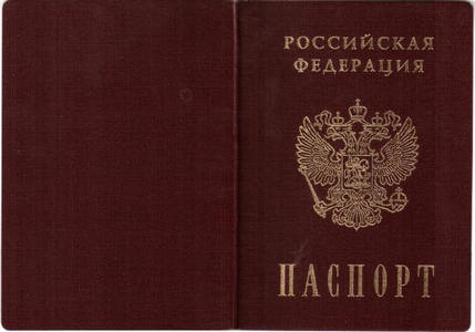 Не успел смыться: полиция арестовала в аэропорту с российским паспортом экс-налоговика, участвовавшего в преступной схеме Януковича (фотофакт)