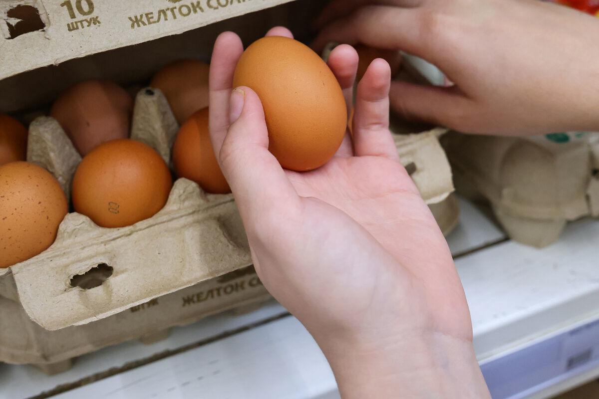 Куриный кризис поглощает Россию: в Белгороде сутками стоят в очередях за яйцами 