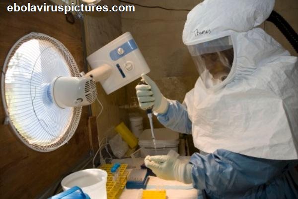 Вакцина против лихорадки Эбола успешно прошла испытания - | ДиалоUA