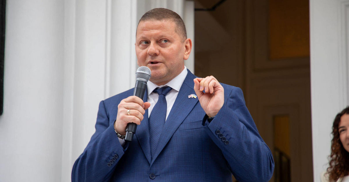 "Гарантоване збереження їхніх інвестицій..." – Залужний про революційну ініціативу України для відновлення країни