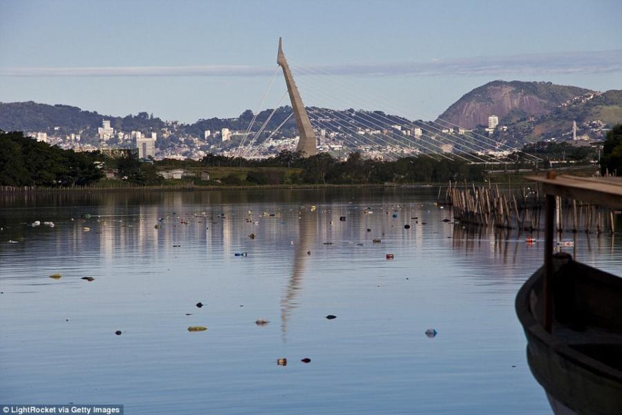 В Рио неподалеку от мест соревнований яхтсменов плавала отрубленная человеческая нога