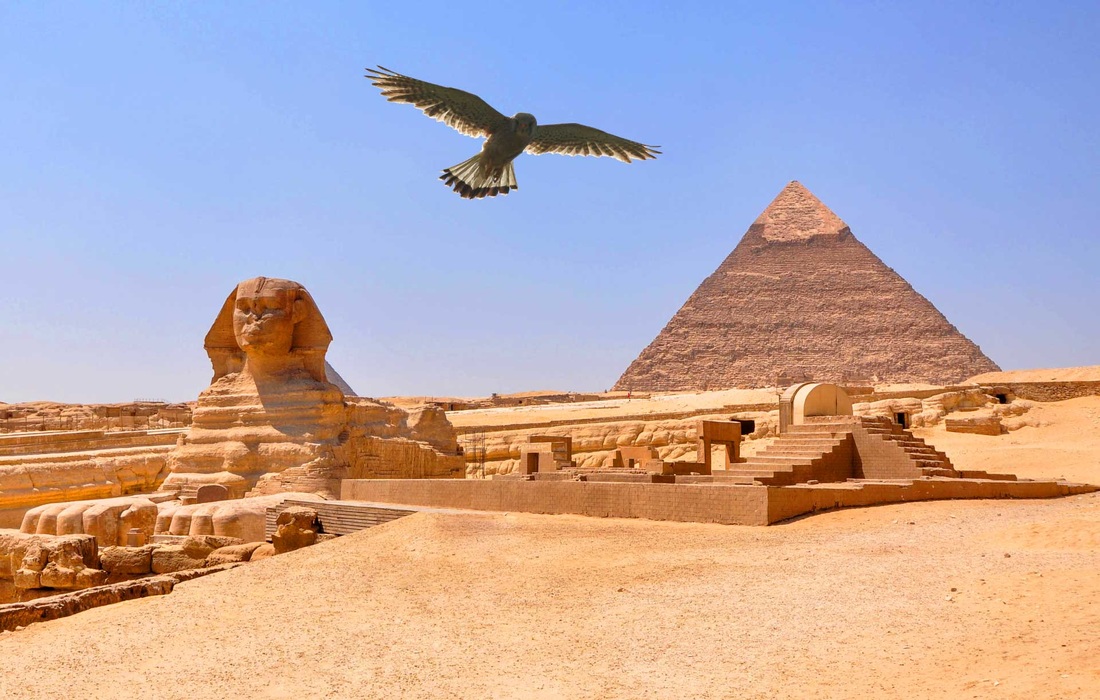 В Египте заявили о важном археологическом открытии: обнаружен древний "город мертвых" с 40 "жителями"