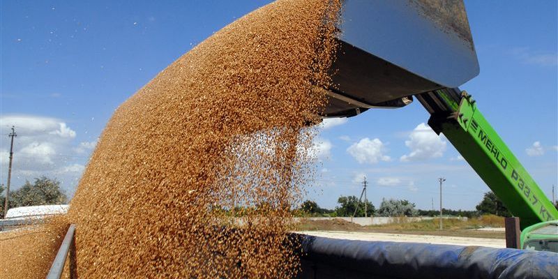 Китай будет судиться с Украиной из-за невыполненных поставок зерна