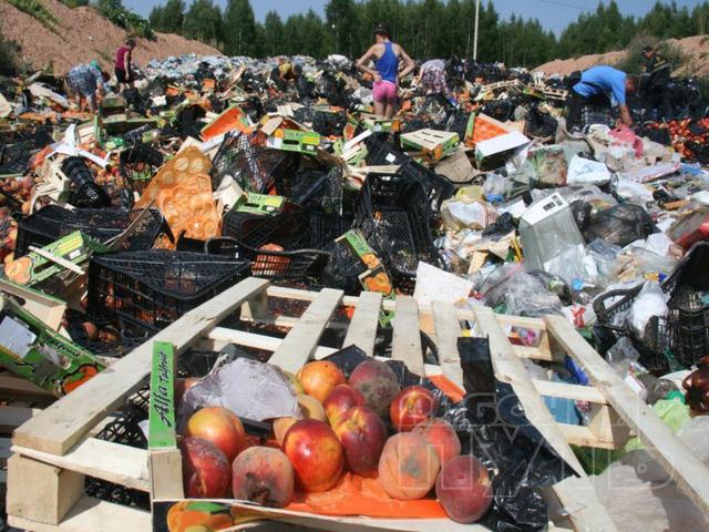 Яблоки раздора. В Челябинске уничтожены санкционные фрукты.