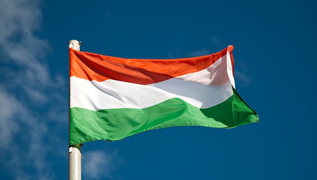 Выяснилось, кто повредил венгерский флаг на Закарпатье: губернатор Москаль сообщил подробности инцидента 