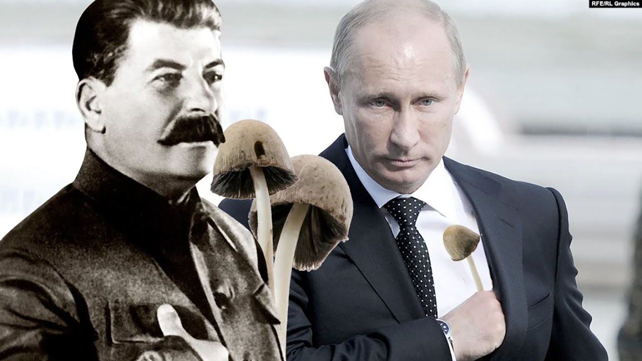 Путін веде "колоніальну війну": американський історик порівняв главу РФ зі Сталіним