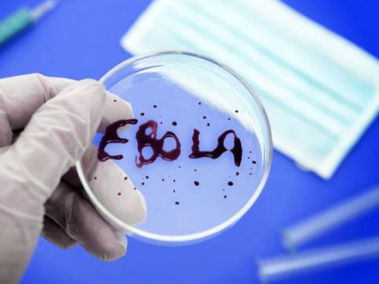 Медики разгадали тайну первого инфицированного вирусом Эбола