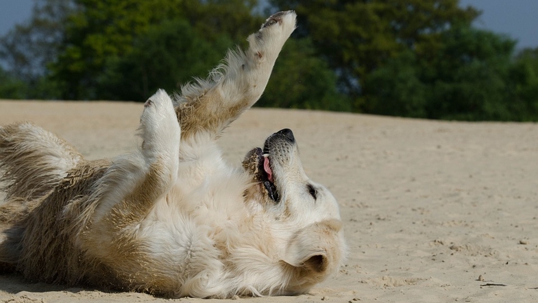 Синоптики обещают украинцам прохладные выходные, но скоро снова жара