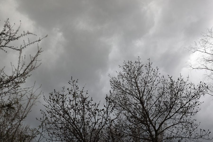 Теплый антициклон не пускает зиму в Украину: синоптики рассказали о погоде 3 декабря