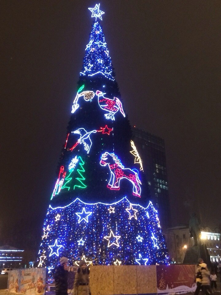В Донецке зажгли новогоднюю елку, - очевидцы