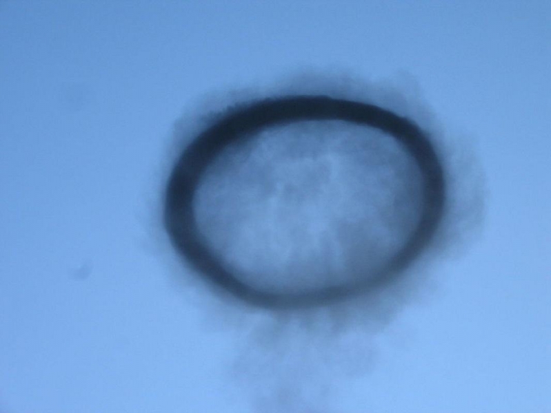 Зловещий предвестник Нибиру: в небе над Канадой появилось аномальное черное кольцо – кадры