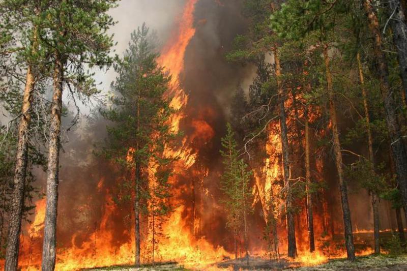 В Забайкалье горят более 100 тысяч гектаров леса