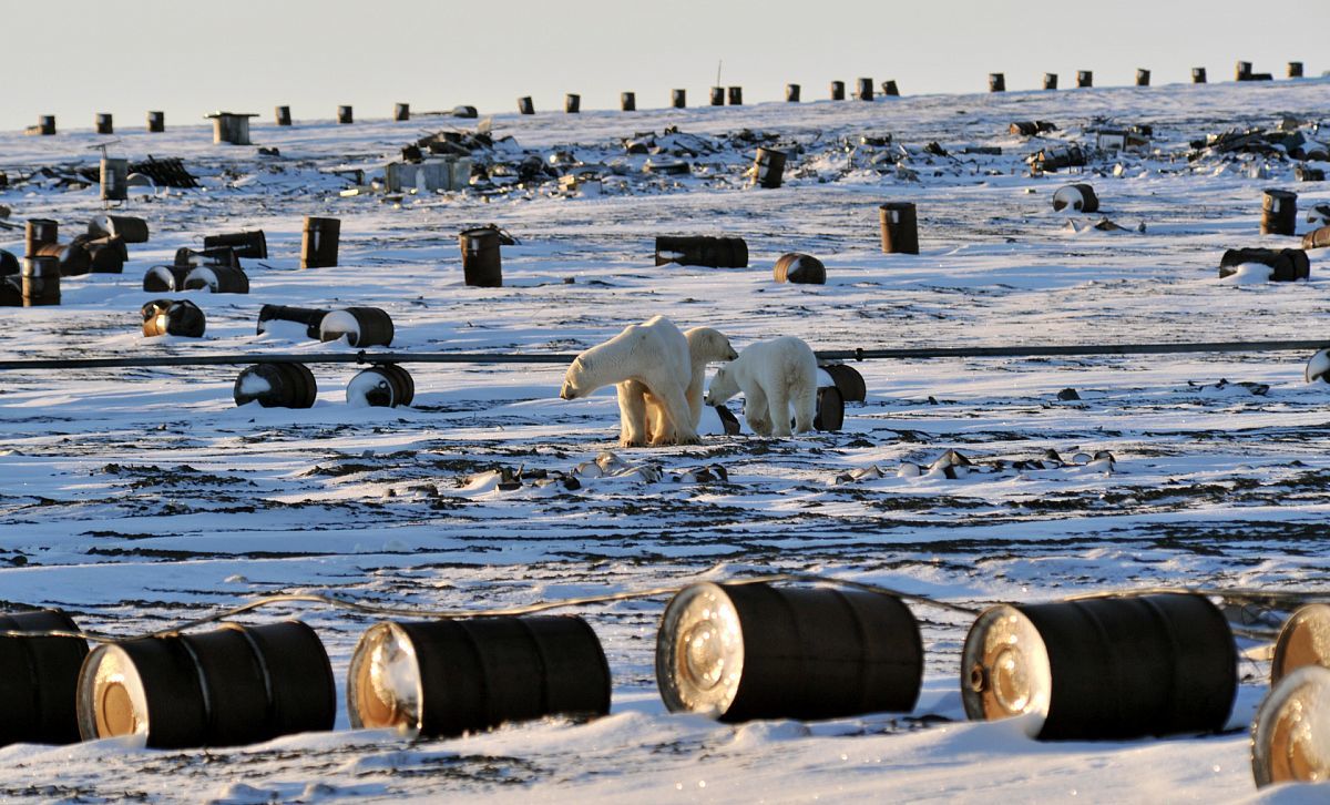 Санкции "заморозили" Россию в Арктике – у страны-агрессора нет будущего