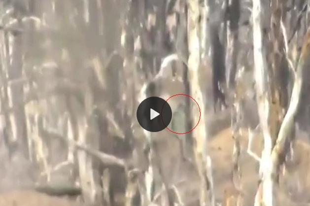 Снайпер ВСУ сделал четкий выстрел по врагу: под Мариуполем избавились от российского террориста – видео 