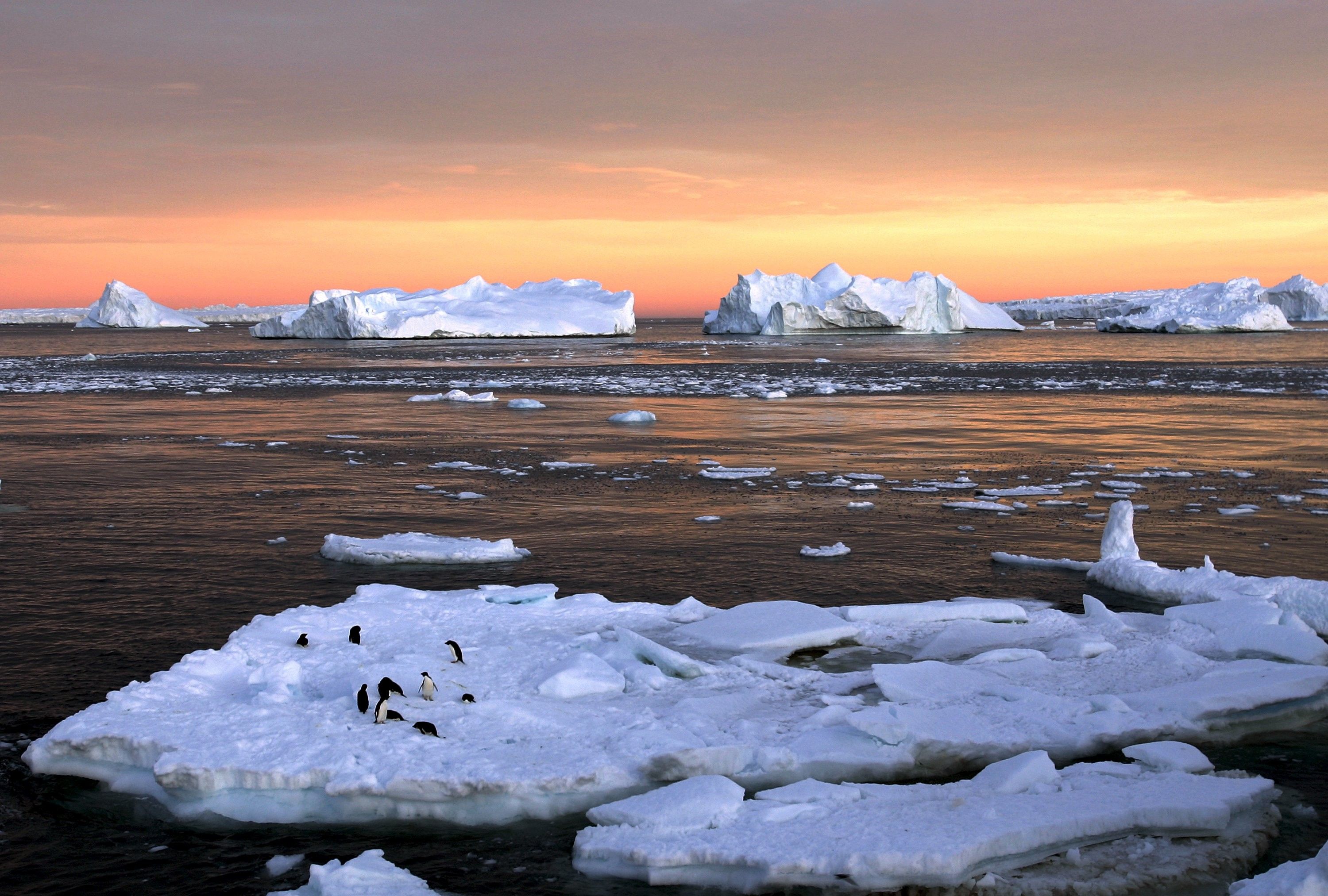 Экологические проблемы северного ледовитого океана. Таяние льдов в Антарктиде. Море Баффина. Тундра и Северный Ледовитый океан. Антарктическая тундра в Антарктиде.