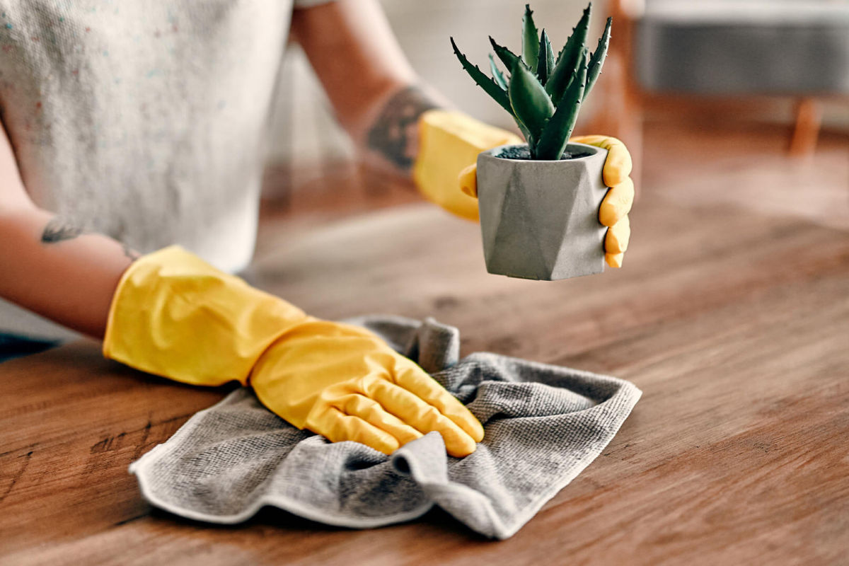 Домашняя пыль может серьезно испортить здоровье: чем она опасна