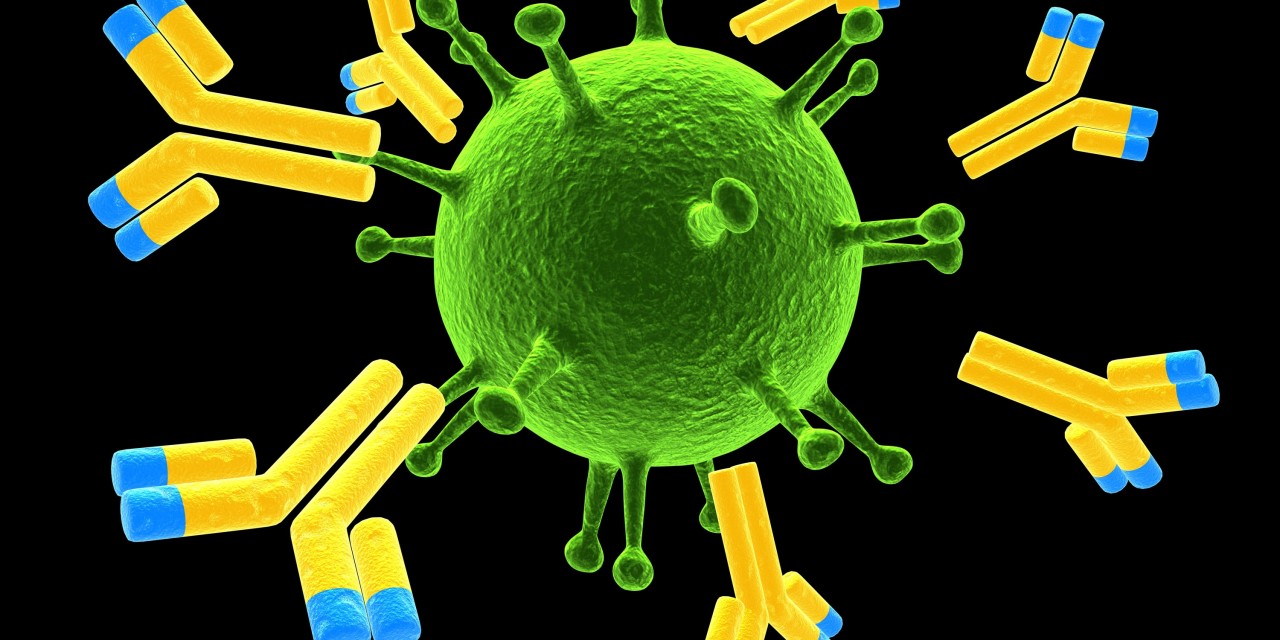 Лечение коронавируса: нидерландские ученные обнаружили антитело к вирусу COVID-19