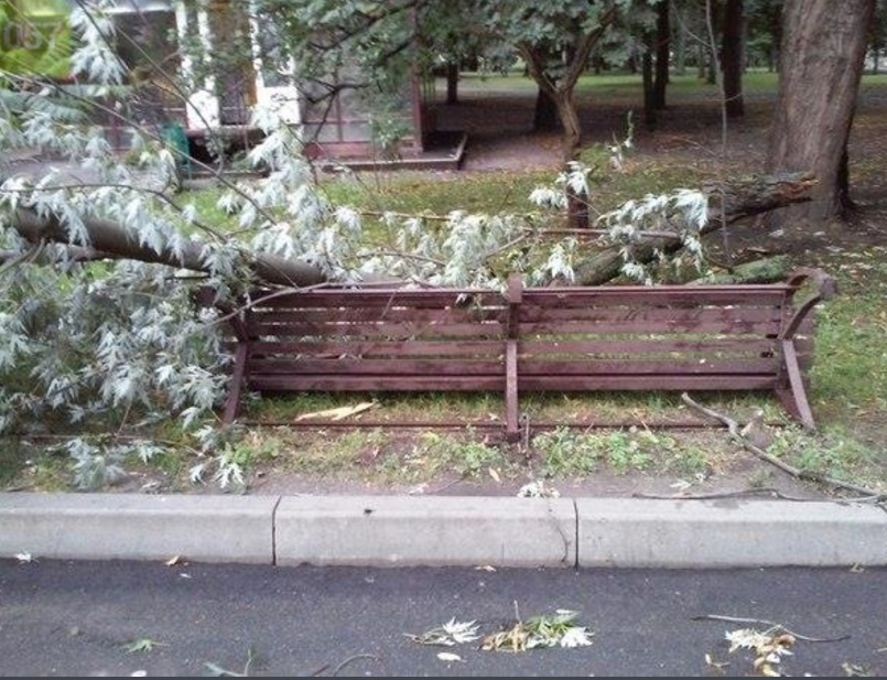 Разрушающий ураган в Харькове: сломанные деревья, разбитые машины и погибший от удара молнии молодой парень 