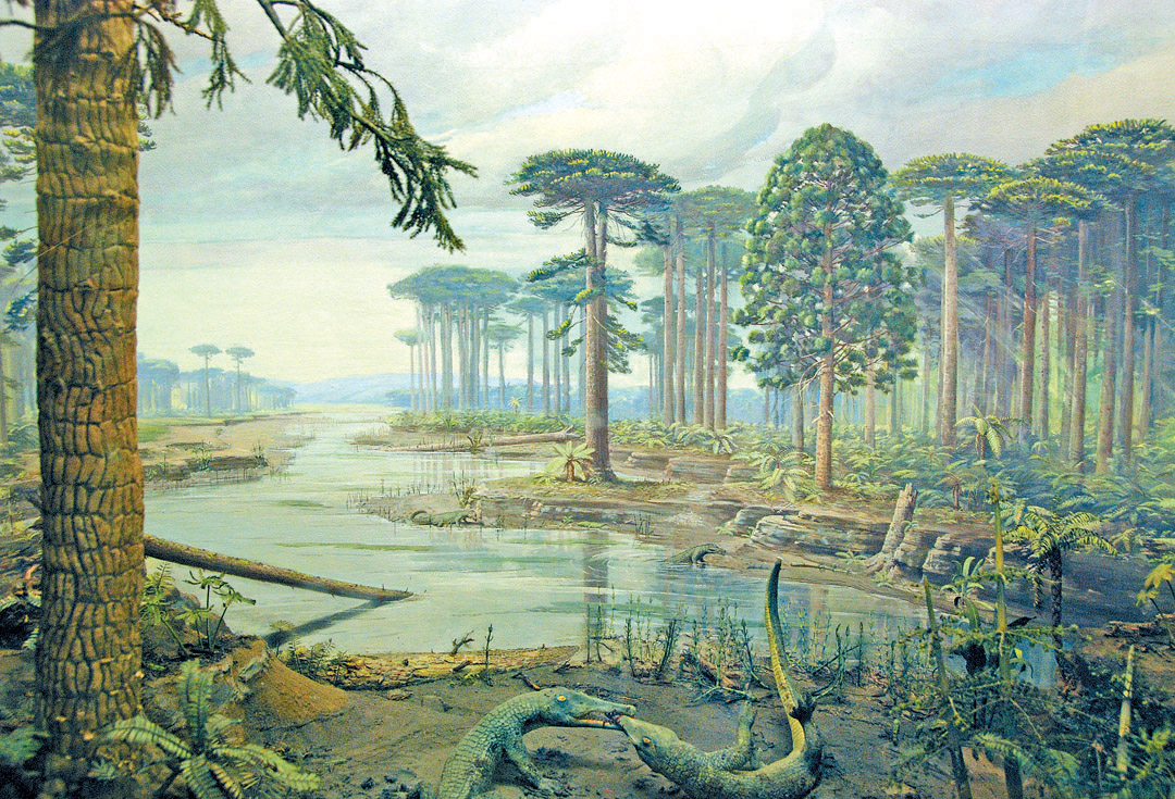 Какими были хищники 200 млн лет назад