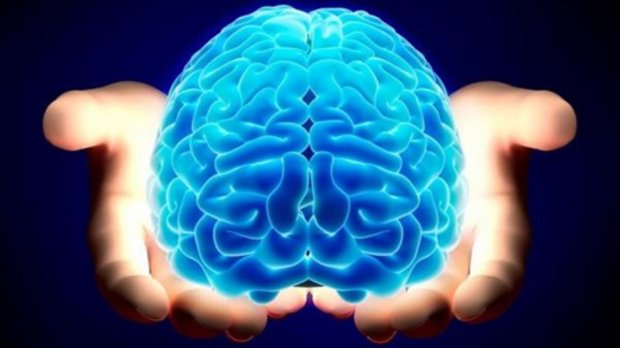 Ученые вырастили искусственный человеческий мозг: какие болезни можно будет победить