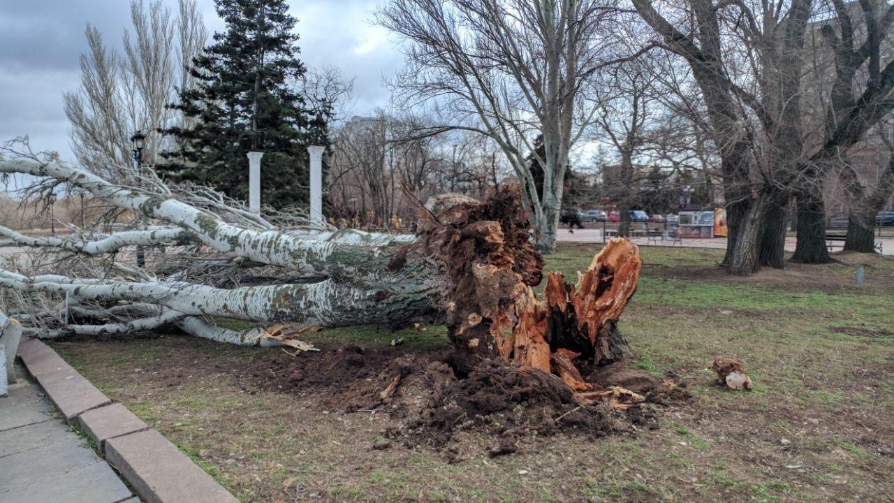 Непогода в Украине: Одесса и Николаев под ударом стихии, деревья вырывает с корнями, крыши и рекламные щиты разлетаются