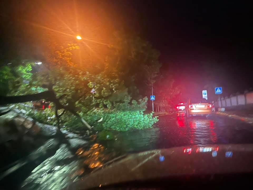 Во Львове пронесся сильный ураган: двух людей спасти не удалось