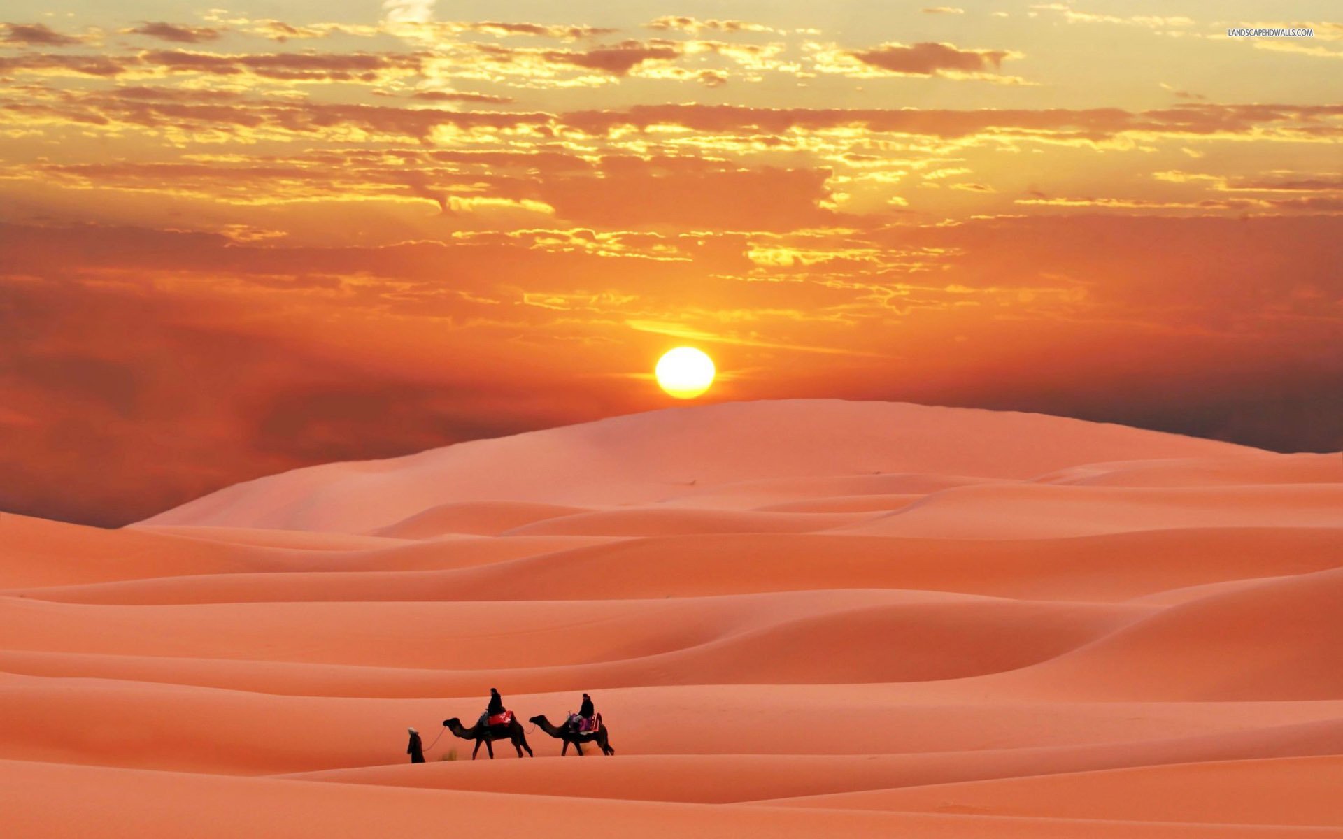 Сахара "выходит из берегов": самая крупная жаркая пустыня "съедает" окрестные территории