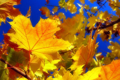 Небывалая жара: К концу текущей недели в Украине будет почти +25