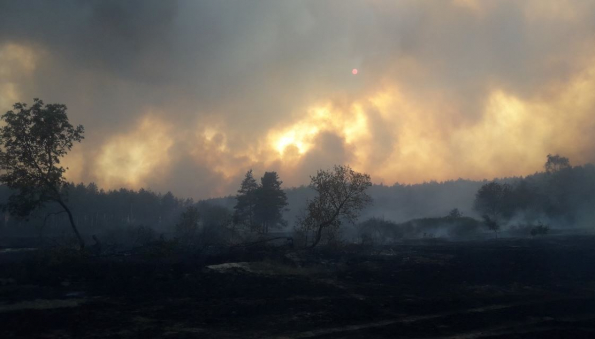Из-за мощных пожаров в Харьковской области объявлена ЧС 