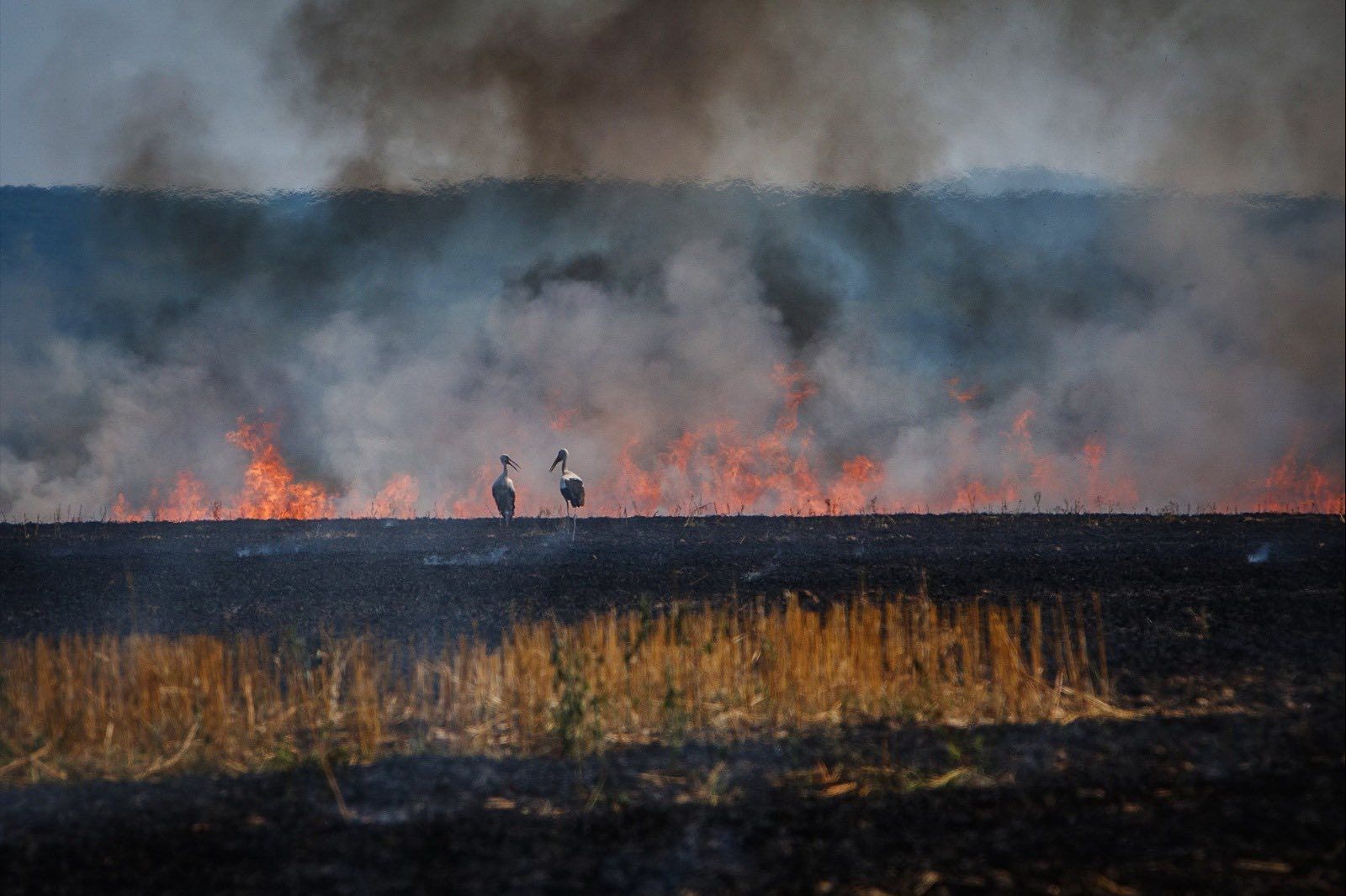 ​В Украине температура пробила отметку в +18 °C: антициклон "Конрад" принес тепло и новую опасность