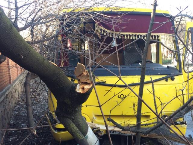 Маршрутка со студентами в Мариуполе сбила водителя и снесла дерево - опубликованы кадры с места резонансного ДТП, есть раненые