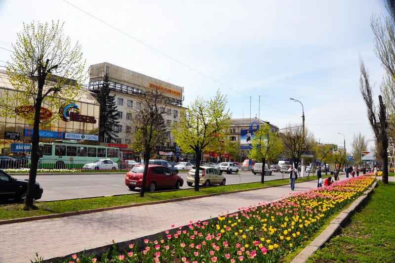 Ситуация в Донецке и Луганске: новости, курс валют, цены на продукты, хроника событий 16.09.2016