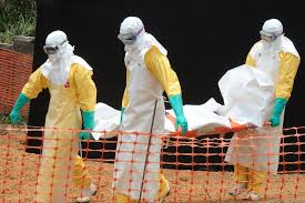 Сотрудник ООН умер от вируса Эбола в Германии