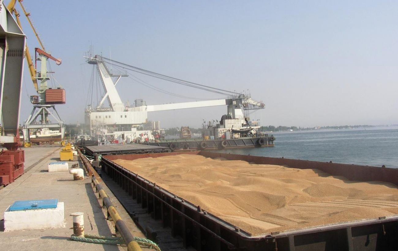 Блокада морских портов Украины: правительство нашло способ экспорта зерна
