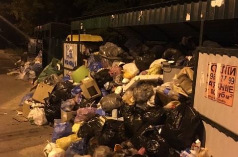 "Спасите от мусора и крыс", - Сеть поражена горами мусора в Крыму, жители панически боятся  эпидемии - кадры