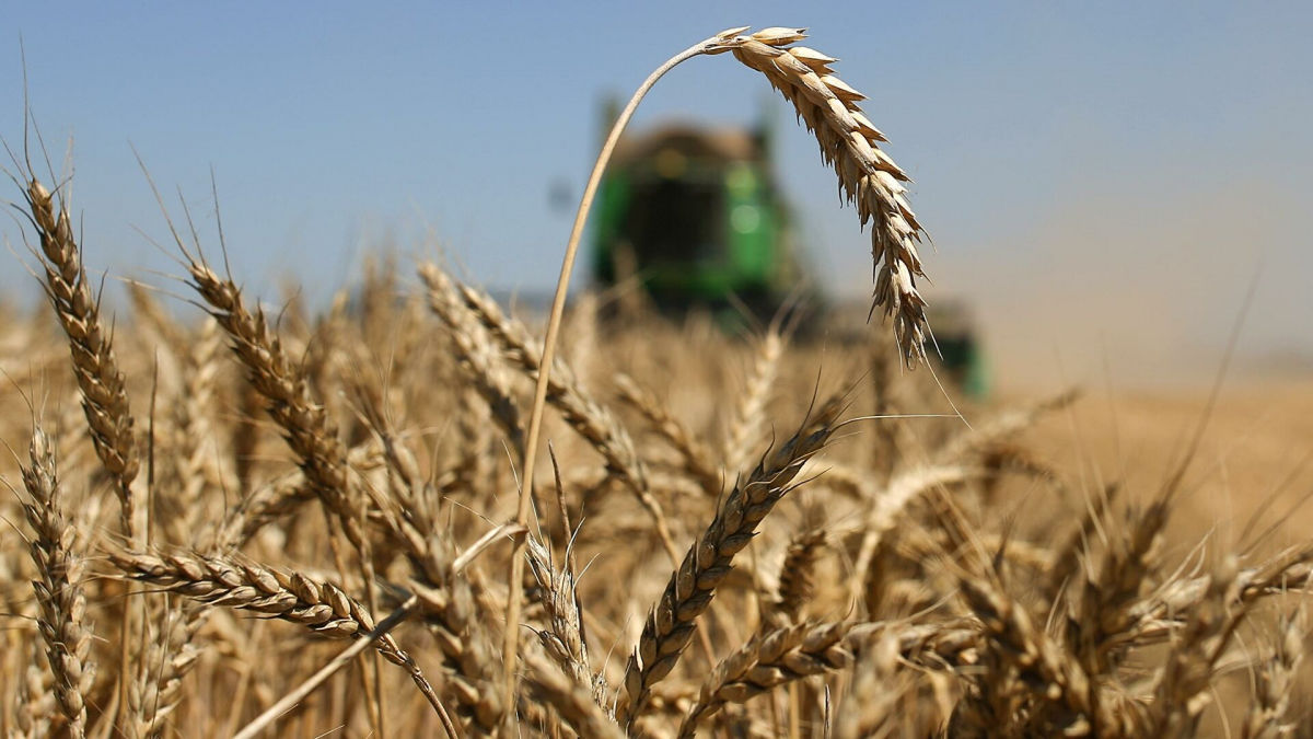 ​В РФ депутаты открыто призывают грабить Украину, особенно фермеров на юге страны