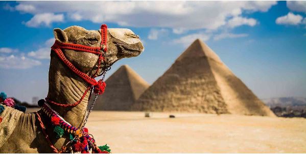 Путешествуем без проблем: выгодный мобильный интернет в Египте