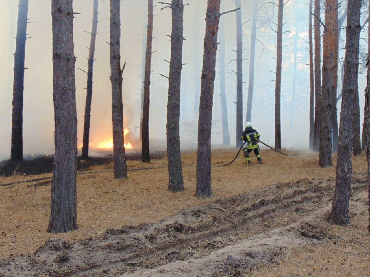 Луганская область снова в огне: пламя подбирается к передовой, экстренно эвакуируют жителей сел