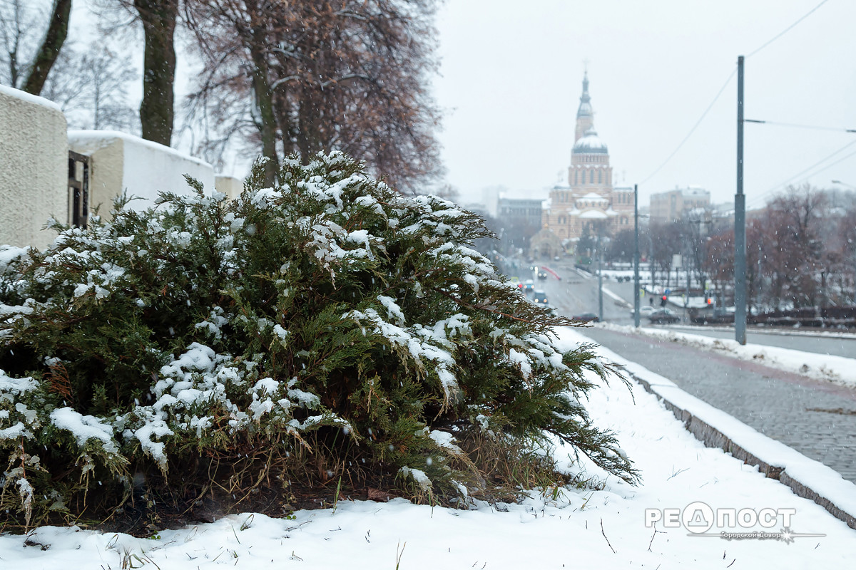 ​Харьков накрыл мощный снегопад: синоптики рассказали, каких сюрпризов природы ждать дальше